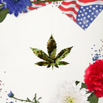 Load image into Gallery viewer, &quot;This Buds For You&quot; Sticker
